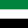 flag1.jpg