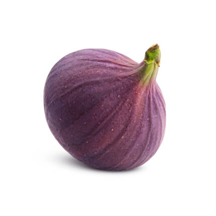 Onion